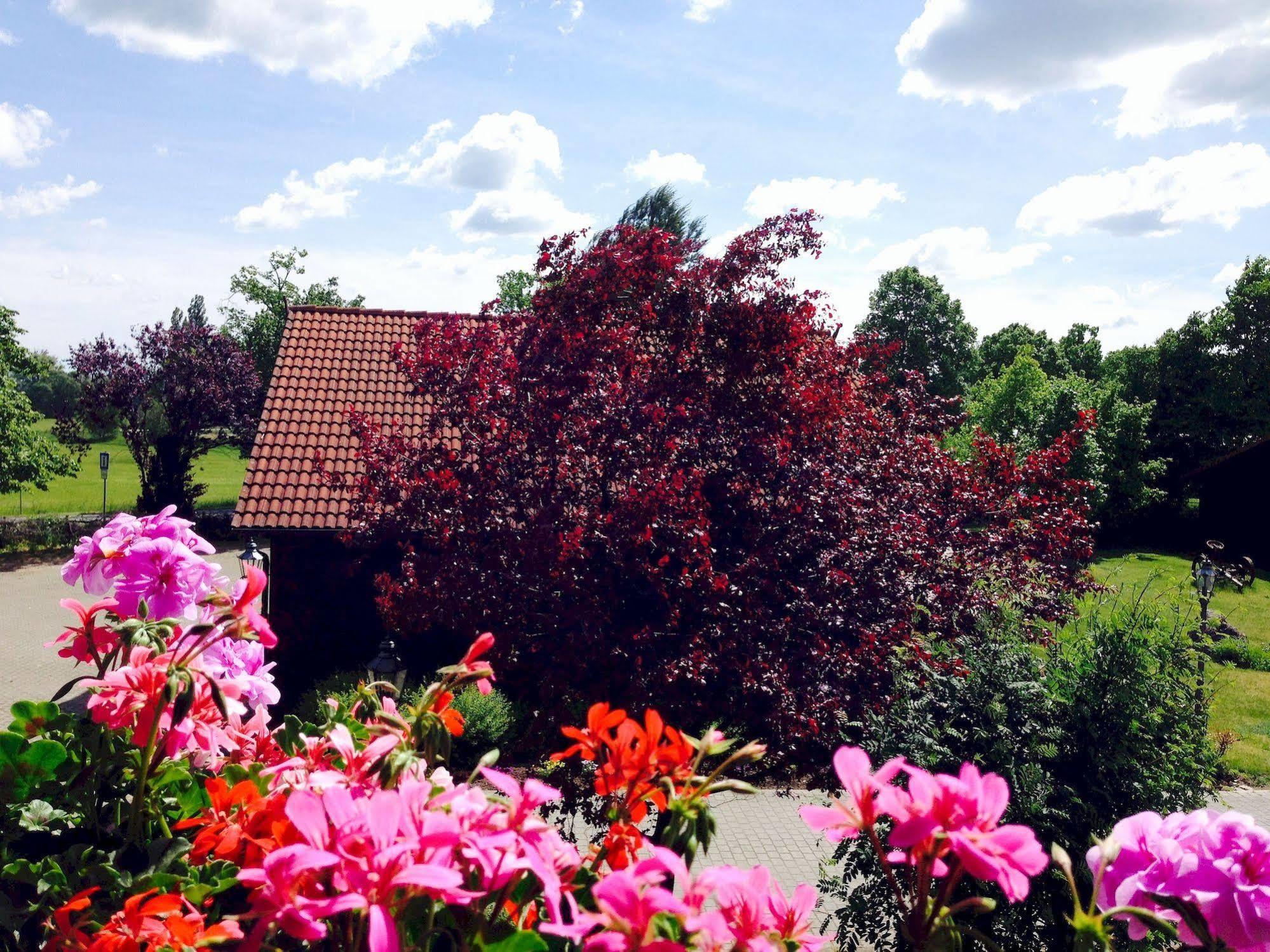 Hotel & Restaurant Zur Spreewaelderin Golßen المظهر الخارجي الصورة